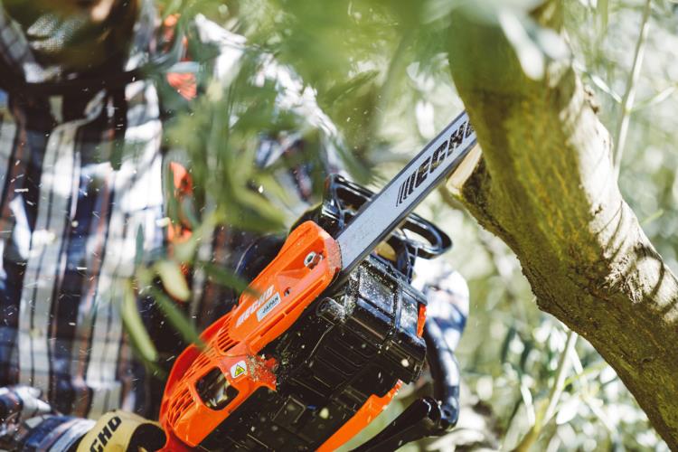 Echo Rear Handle Chain Saw CS-2511WESC - CS-2511WES-2019 (1).jpg